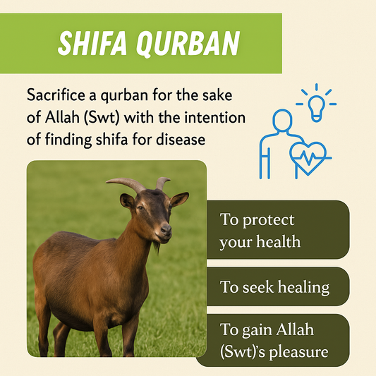 Shifa Qurban